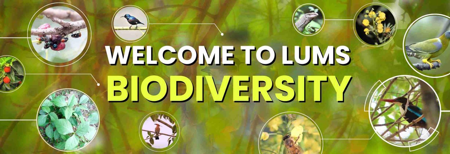 Welcome to Biodiversity | Biodiversity