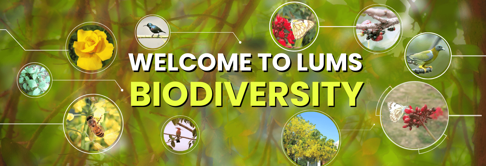 Welcome to Biodiversity | Biodiversity